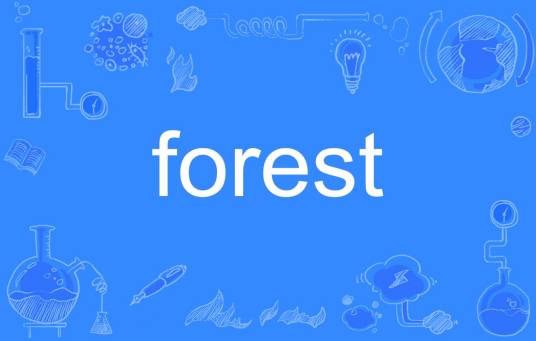 forest（英文单词）