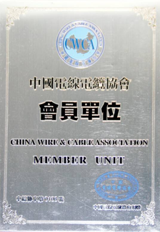 中国电线电缆协会