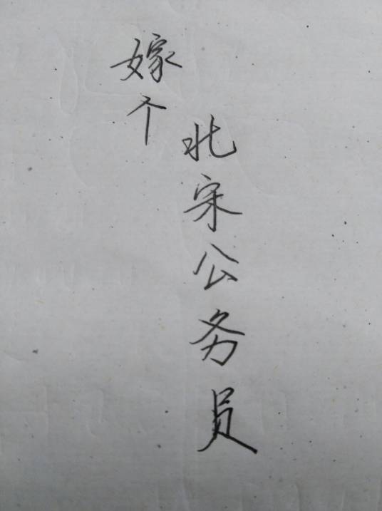 嫁个北宋公务员