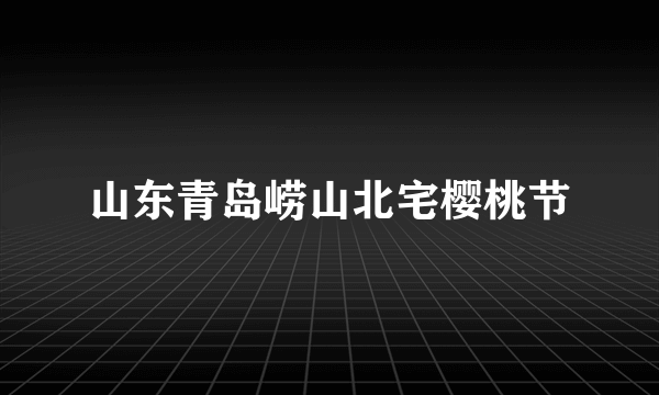 山东青岛崂山北宅樱桃节