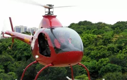 罗特威A600双人直升机