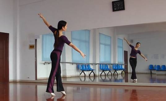 芭蕾形体（古典舞种之一）