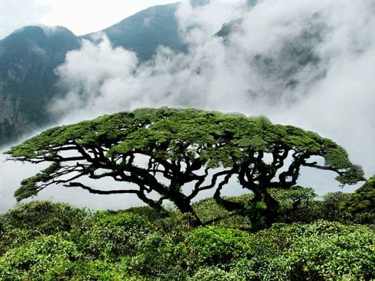 大瑶山（广东省北部山脉）