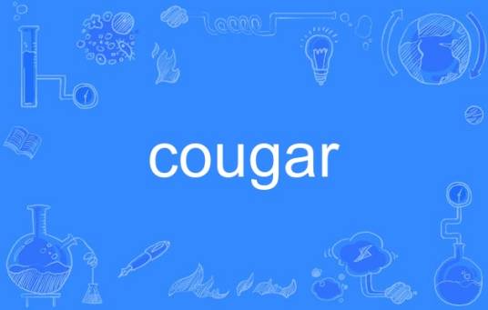 cougar（英语单词）
