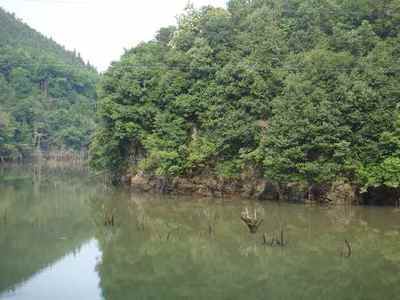 凫山村（广东省东莞市寮步镇下辖村）