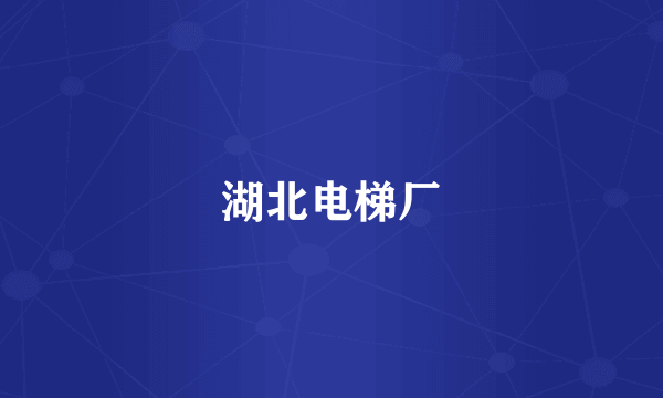 湖北电梯厂