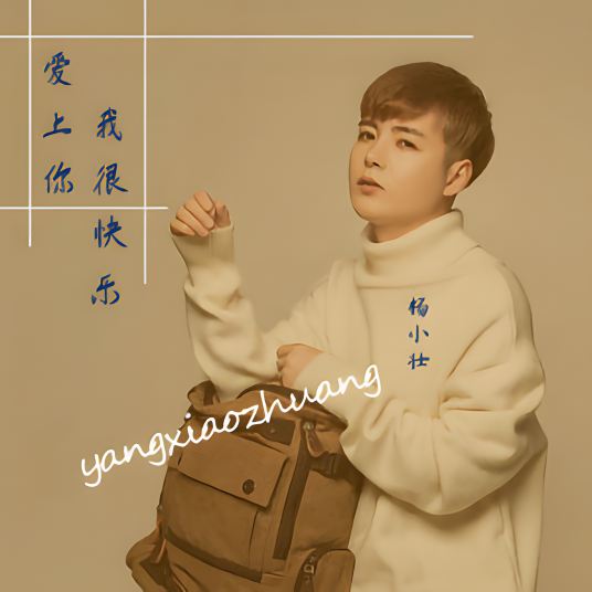 爱上你我很快乐（杨小壮演唱歌曲）