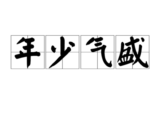 年少气盛