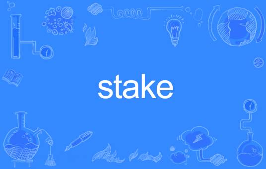 Stake（英文单词）