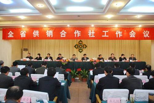 河南省供销合作总社