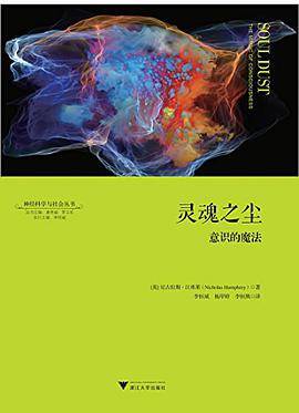 灵魂之尘