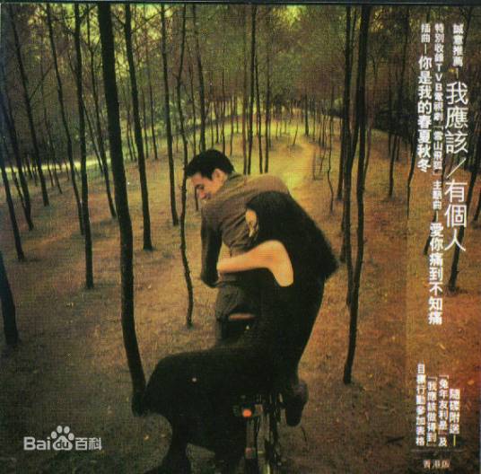 我应该（张学友演唱的歌曲）