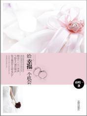 给幸福一个机会（2010年沈阳出版社出版的图书）