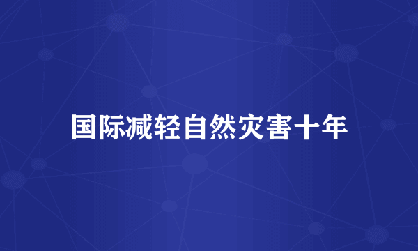 国际减轻自然灾害十年