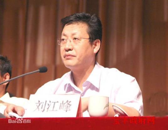 刘江峰（宝丰县委常委、政法委书记）