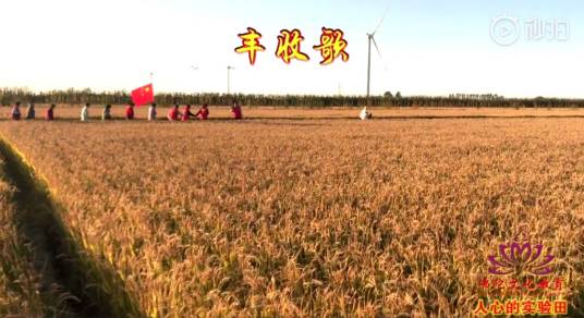 丰收歌（郭兰英演唱的歌曲）