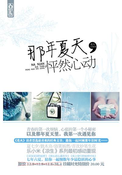 那年夏天的秘密（小说）