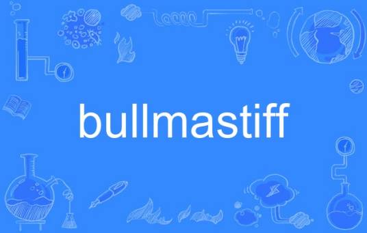 bullmastiff