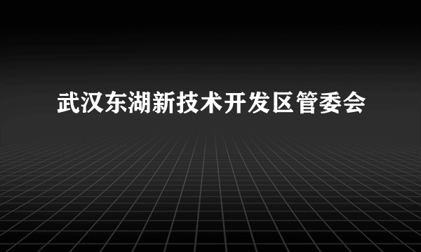武汉东湖新技术开发区管委会