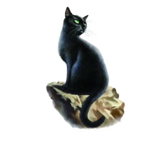 影星（《猫武士》中的人物）