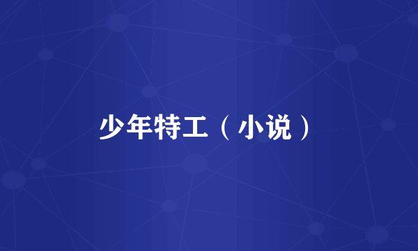 少年特工（小说）
