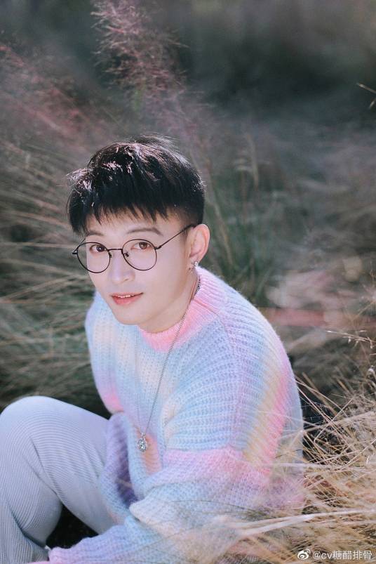 糖醋排骨（中国男配音演员）