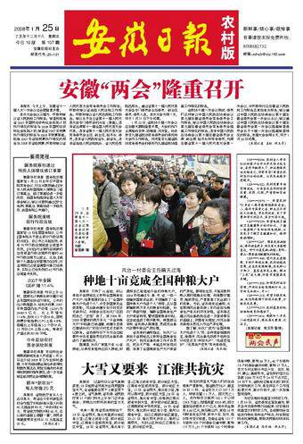 安徽日报·农村版