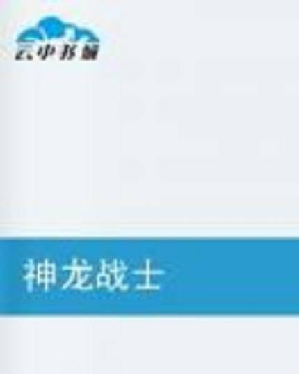 神龙战士（红尘过客创作的网络小说）