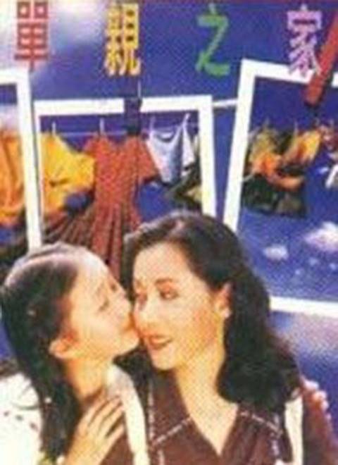 单亲之家（1996年陶玲玲执导电视剧）