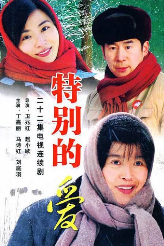 特别的爱（2008年卫兆红、赵小鸥执导的电视剧）