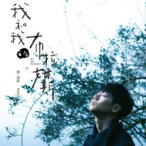 不如（2015年蔡旻佑主唱歌曲）