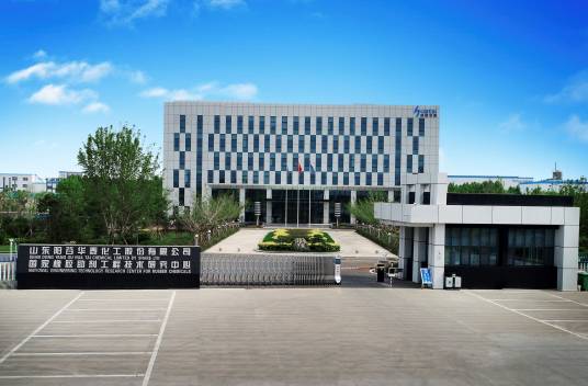山东阳谷华泰化工股份有限公司