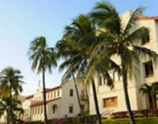 檀香山查明纳德大学