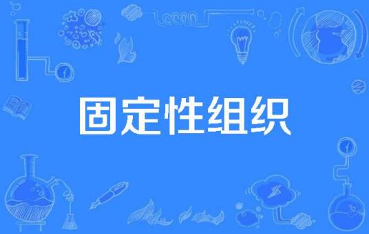 固定性组织