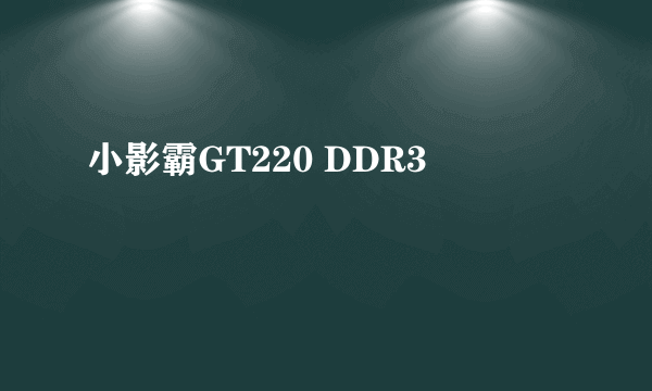 小影霸GT220 DDR3
