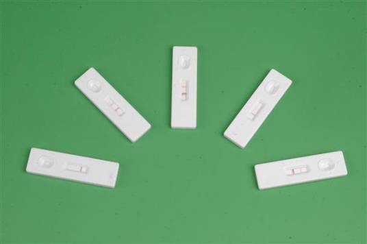 瘦肉精检测试剂