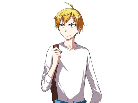 叶麟（网络小说《我才不会被女孩子欺负呢》男主角）