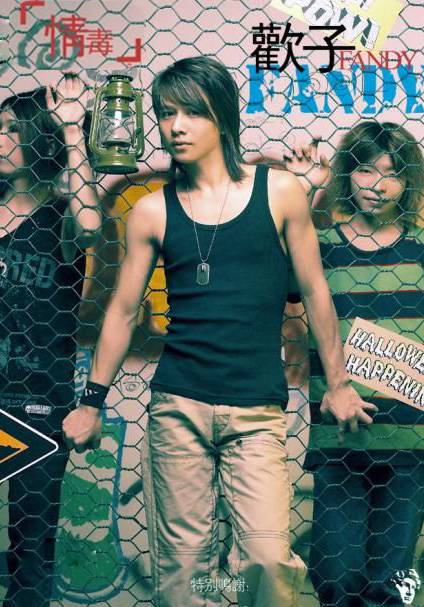 情毒（欢子演唱歌曲）