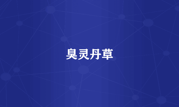 臭灵丹草