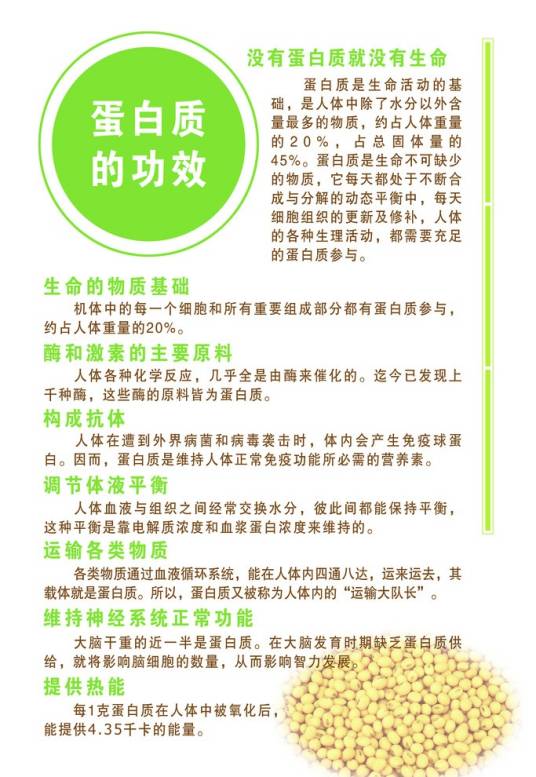 蛋白质生理功能