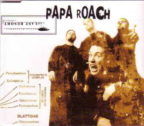 Last Resort（Papa Roach演唱歌曲）