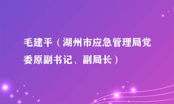 毛建平（湖州市应急管理局党委原副书记、副局长）