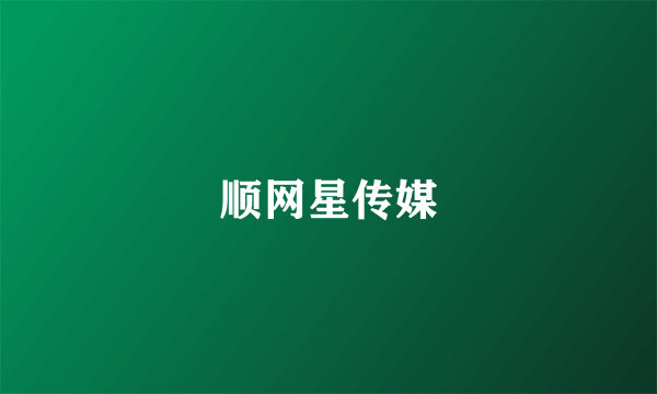 顺网星传媒