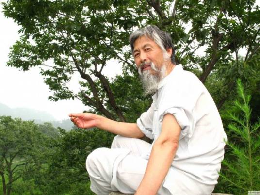 赵文竹（艺术家）