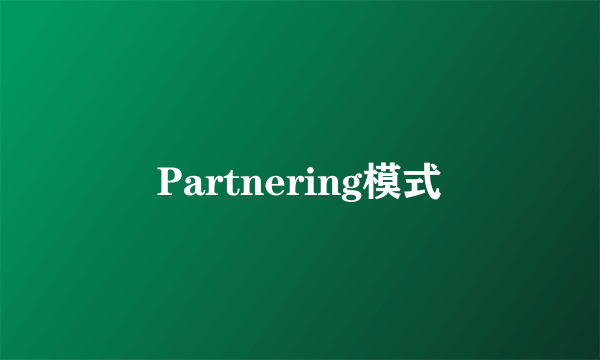 Partnering模式