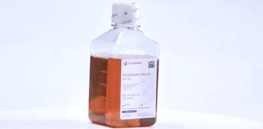 胎牛血清