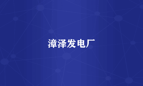 漳泽发电厂