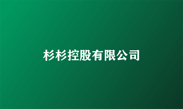 杉杉控股有限公司