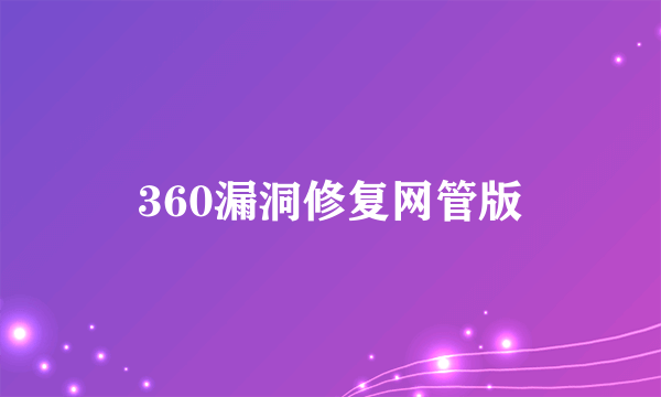 360漏洞修复网管版