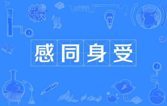 感同身受（汉语成语）